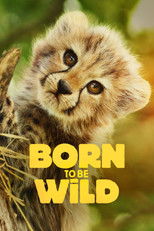 Возвращение в дикую природу